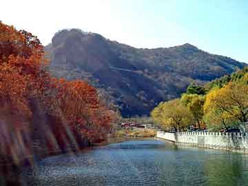 日韩在线综合鸣人，海意背景